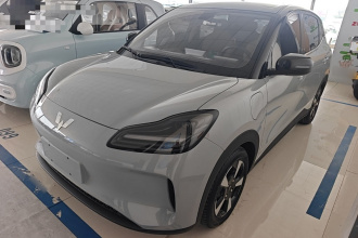 五菱汽车 五菱缤果PLUS 2024款 330km 五座版