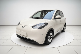 五菱汽车 五菱缤果 2023款 333km 灵犀互联+款