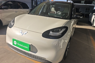 五菱汽车 五菱缤果 2023款 203km 舒享款