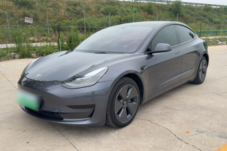 特斯拉 Model 3 2021款 标准续航后驱升级版