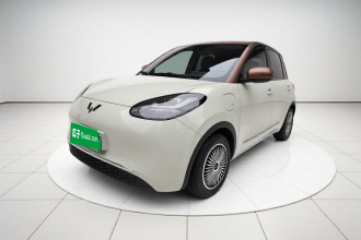 五菱汽车 五菱缤果 2024款 333km 悦享款