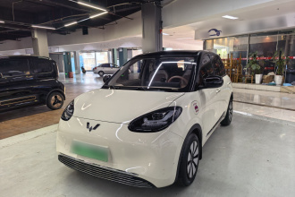五菱汽车 五菱缤果 2025款 333km 灵犀互联款