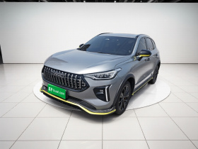 哈弗赤兔 2021款 激擎版 1.5T 铂金兔