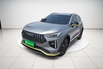 哈弗赤兔 2021款 激擎版 1.5T 铂金兔