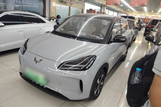 五菱汽车 五菱缤果PLUS 2024款 510km 五座版