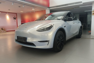 特斯拉 Model Y 2021款 标准续航后驱版