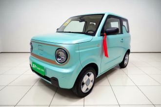 吉利银河 2024款 熊猫mini 200km 耐力熊
