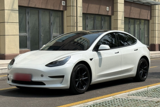 特斯拉 Model 3 2022款 后轮驱动版