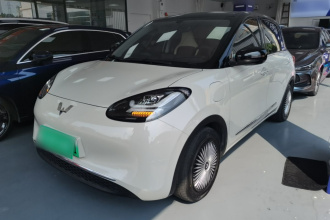 五菱汽车 五菱缤果 2024款 333km 灵犀互联款