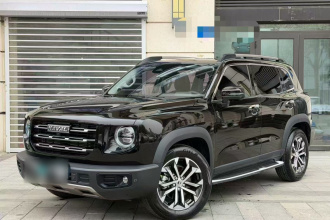 哈弗大狗 2021款 1.5T DCT两驱边牧-旺财版