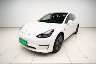 特斯拉 Model 3(进口) 2019款 标准续航后驱升级版