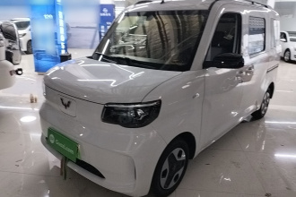 五菱汽车 五菱之光新能源 2025款 305km 进取型