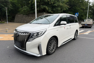 广汽传祺 传祺M8 2021款 大师系列 390T 至尊版