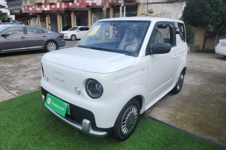 睿蓝汽车 睿蓝蓝气球 2025款 活力版