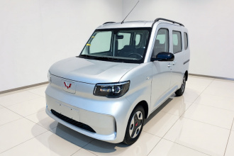 五菱汽车 五菱之光新能源 2025款 201km 舒适型