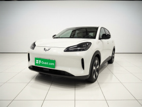 五菱汽车 五菱缤果PLUS 2024款 330km 五座版