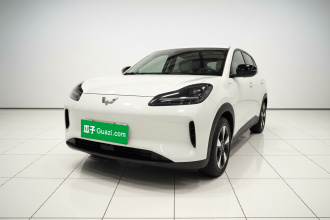 五菱汽车 五菱缤果PLUS 2024款 330km 五座版