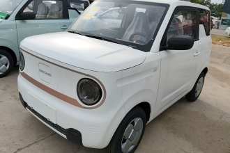 吉利银河 2024款 熊猫mini 200km 耐力熊