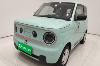 吉利银河 2023款 熊猫mini 200km 耐力熊