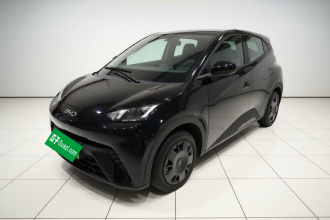 比亚迪 海鸥 2024款 荣耀版 305km 活力版