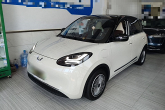 五菱汽车 五菱缤果 2024款 333km 灵犀互联款