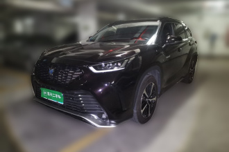 丰田 皇冠陆放 2021款 2.5L HEV四驱尊贵版