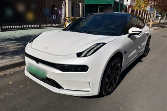 极氪001 2021款 长续航双电机 WE版