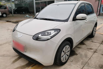 五菱汽车 五菱缤果 2023款 203km 轻享款