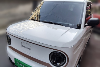 吉利银河 2024款 熊猫mini 200km 耐力熊