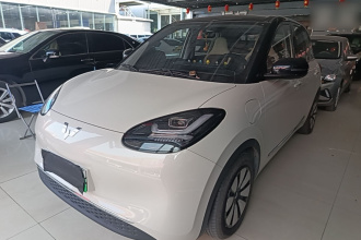 五菱汽车 五菱缤果 2024款 333km 悦享款