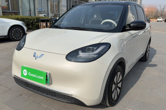 五菱汽车 五菱缤果 2024款 333km 悦享款