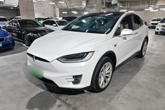 特斯拉 Model X 2019款 长续航版