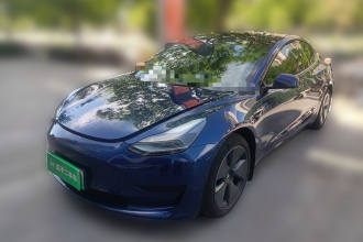 特斯拉 Model 3 2021款 标准续航后驱升级版