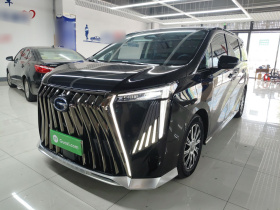 广汽传祺 传祺E9 2023款 E9 MAX