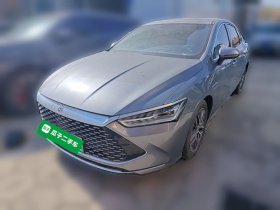 比亚迪 秦PLUS 2021款 DM-i 55KM 旗舰型