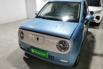 欧拉黑猫 2021款 301km 基础型