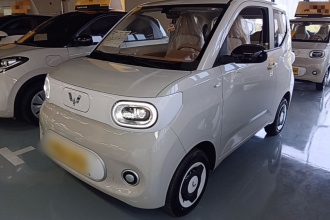 五菱汽车 宏光MINIEV 2024款 第三代 215km 青春版