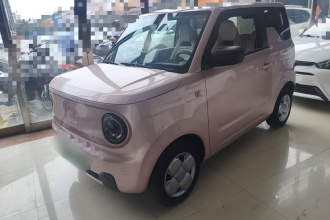 吉利银河 2023款 熊猫mini 200km 耐力熊