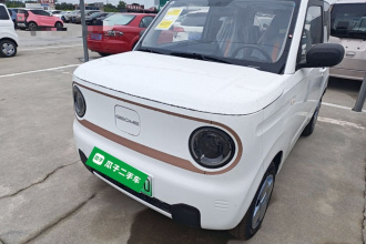 吉利银河 2024款 熊猫mini 200km 耐力熊
