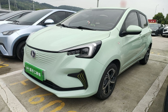 长安 奔奔E-Star 2020款 心悦版 磷酸铁锂（31.18kWh）