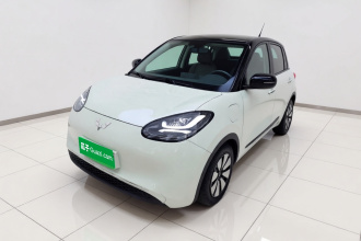 五菱汽车 五菱缤果 2023款 333km 灵犀互联款