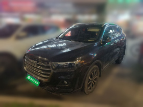 哈弗H6 2021款 国潮版 1.5T 自动都市版