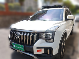 广汽传祺 传祺GS8 2020款 GS8S 390T 两驱尊贵版