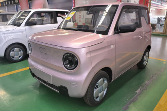 吉利银河 2024款 熊猫mini 200km 耐力熊