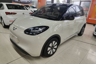 五菱汽车 五菱缤果 2023款 333km 悦享+款