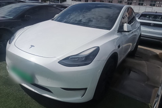 特斯拉 Model Y 2022款 长续航全轮驱动版