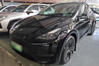 特斯拉 Model Y 2022款 长续航全轮驱动版