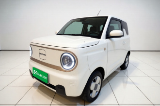 吉利银河 2024款 熊猫mini 200km 耐力熊