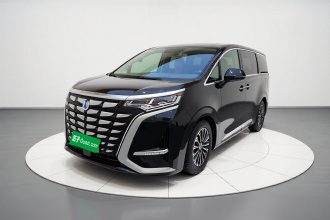 腾势D9 2024款 PIONEER 四座创领版