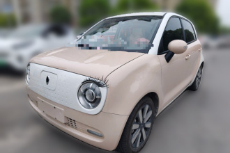 欧拉黑猫 2021款 351km 标准型